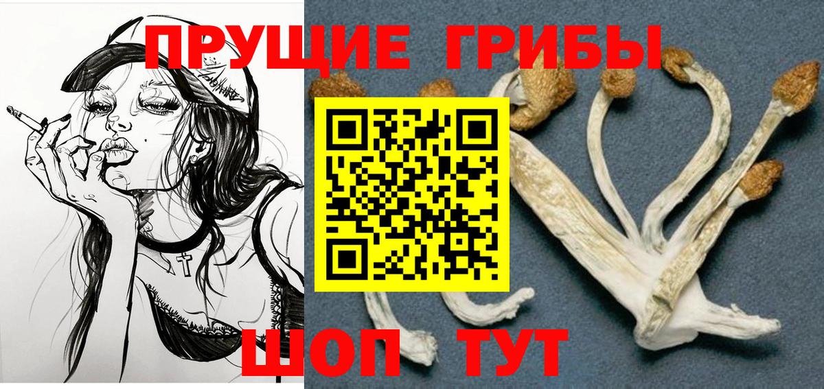 купить наркоту  Галлюциногенные грибы Psilocybine cubensis  Вход с VPN  Сегежа  Псилоцибиновые грибы ЛСД 