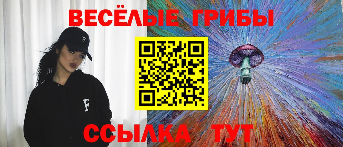 Галлюциногенные грибы Cubensis Сегежа